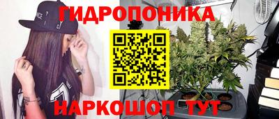 spice Ипатово