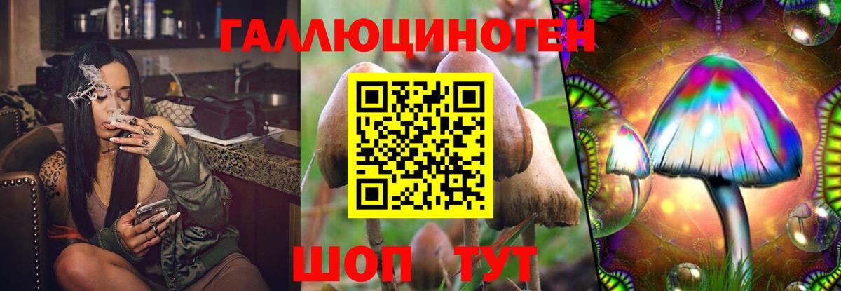Псилоцибиновые грибы GOLDEN TEACHER Конаково
